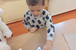 IMG20241125092431 